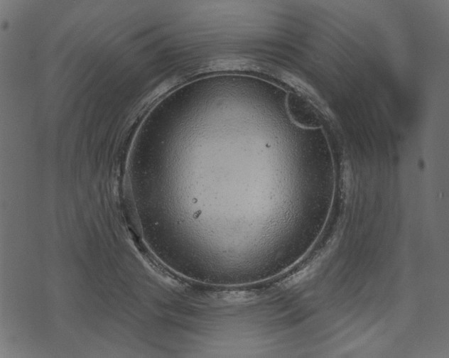 X0000070860841200606231251