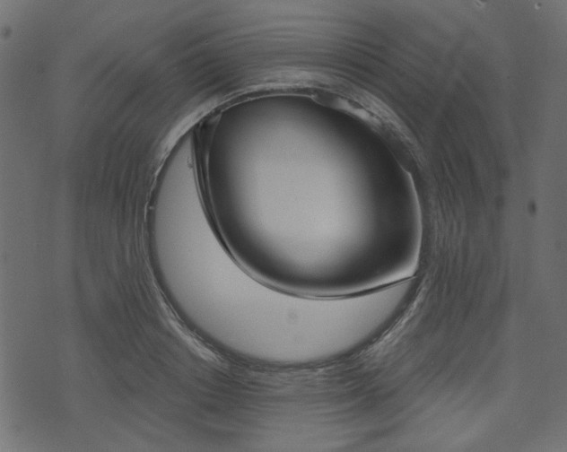 X0000070860842200606231251