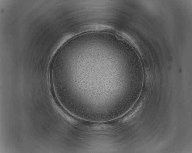 X0000070860843200606231251