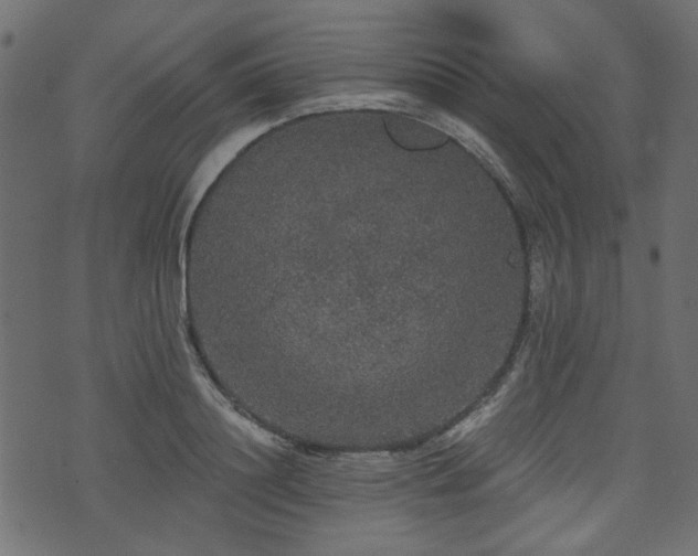 X0000070860844200606231251