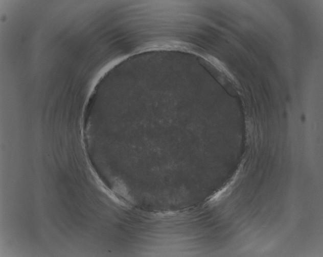 X0000070860846200606231251