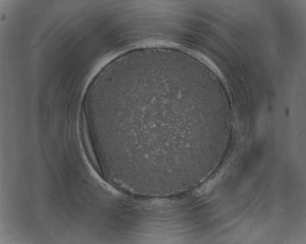 X0000070860847200606231251