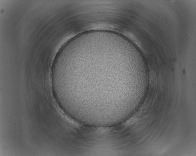 X0000070860848200606231251