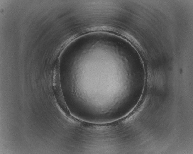 X0000070860849200606231251