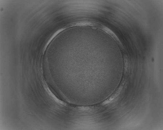 X0000070860852200606231251