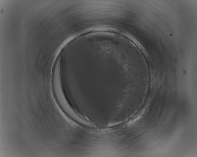 X0000070860853200606231251