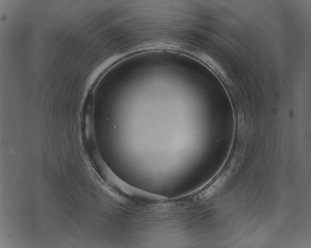 X0000070860854200606231251