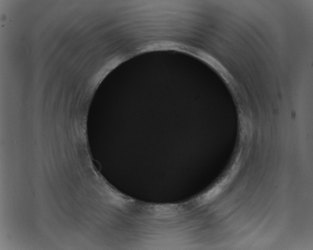 X0000070860857200606231251