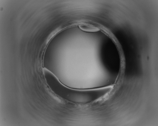 X0000070860858200606231251