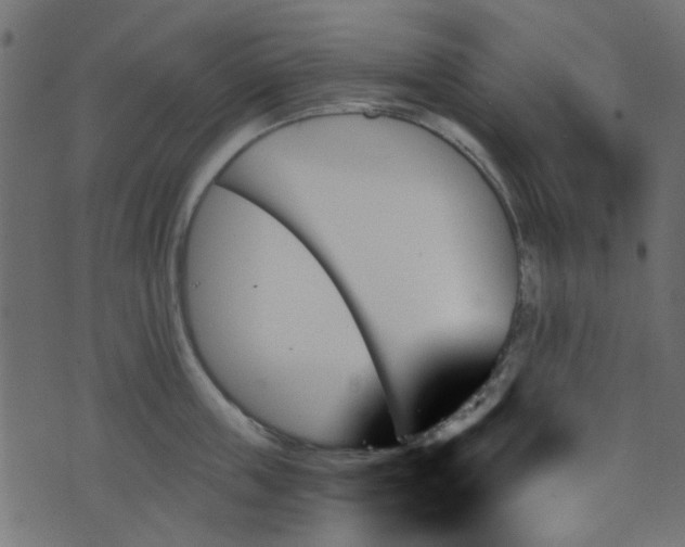 X0000070860859200606231251