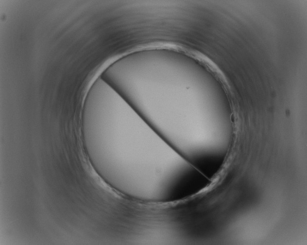 X0000070860860200606231251