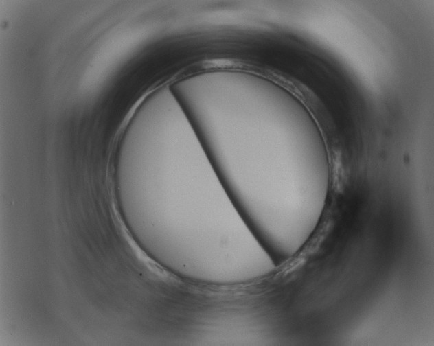 X0000070860861200606231251