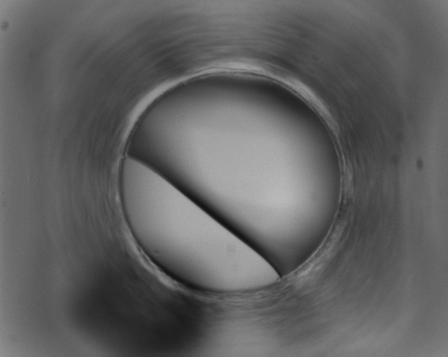 X0000070860862200606231251