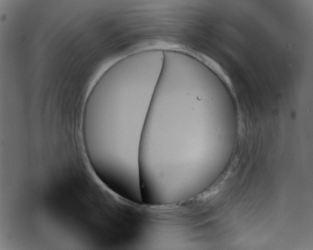 X0000070860863200606231251