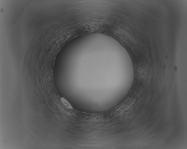 X0000070860865200606231250