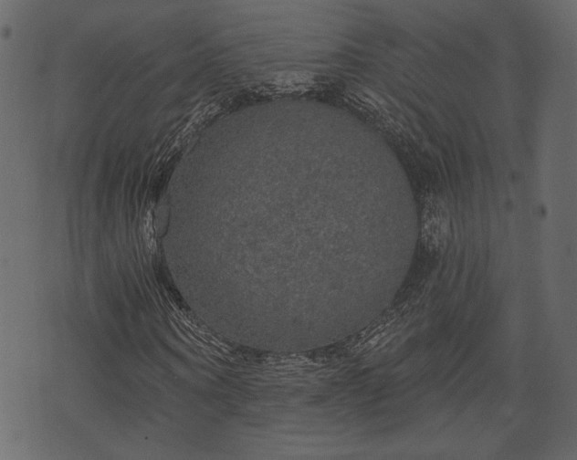 X0000070860866200606231250