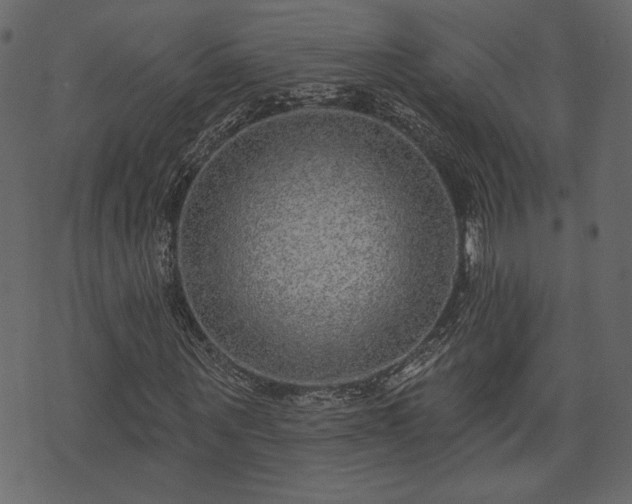 X0000070860867200606231250