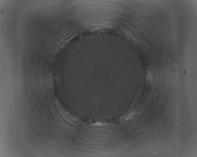 X0000070860868200606231250