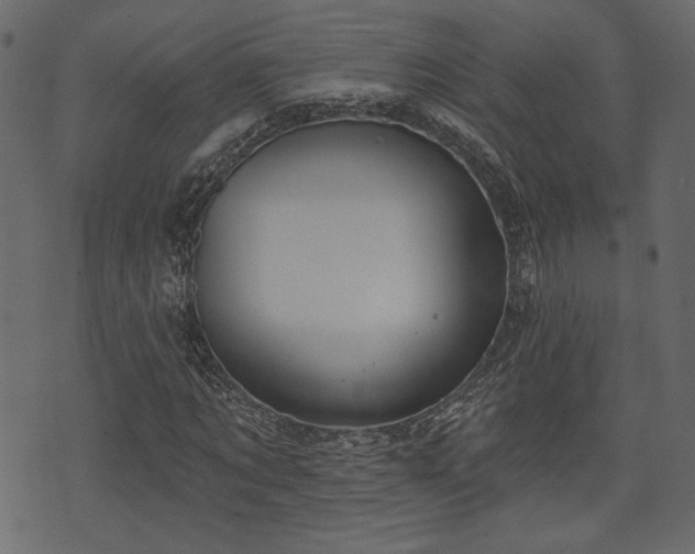 X0000070860869200606231250