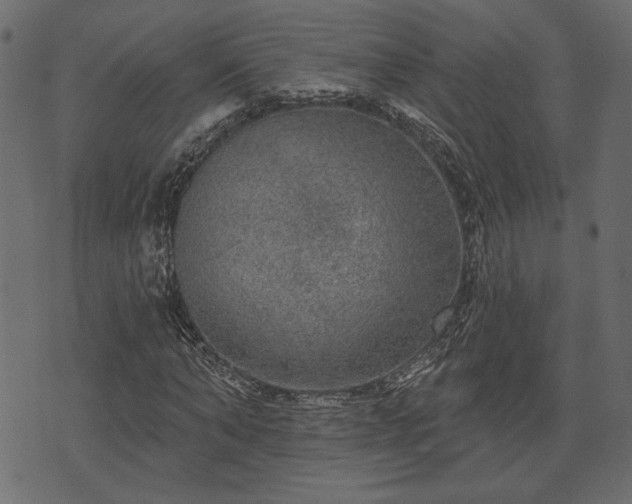 X0000070860870200606231250