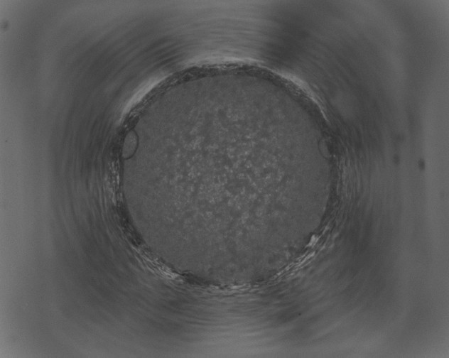 X0000070860871200606231250