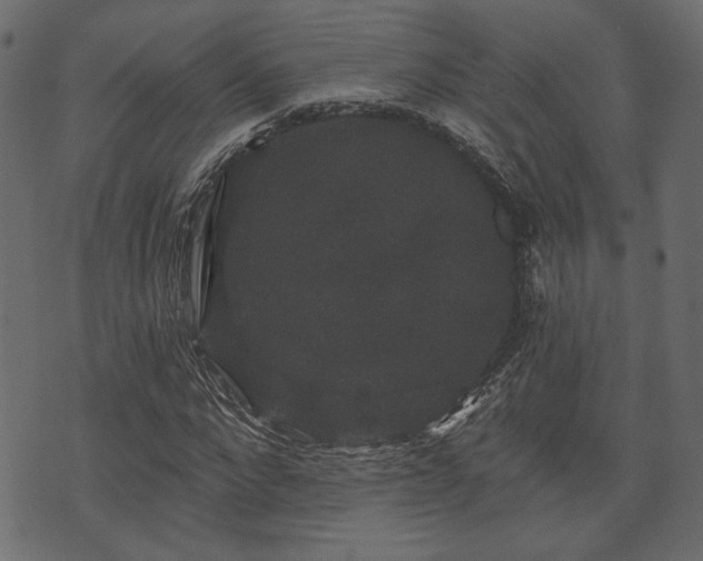 X0000070860872200606231250