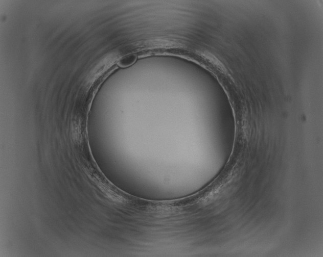 X0000070860873200606231250