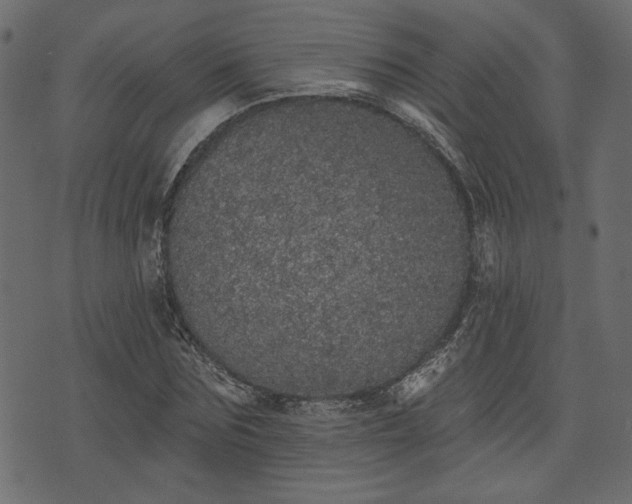 X0000070860875200606231250