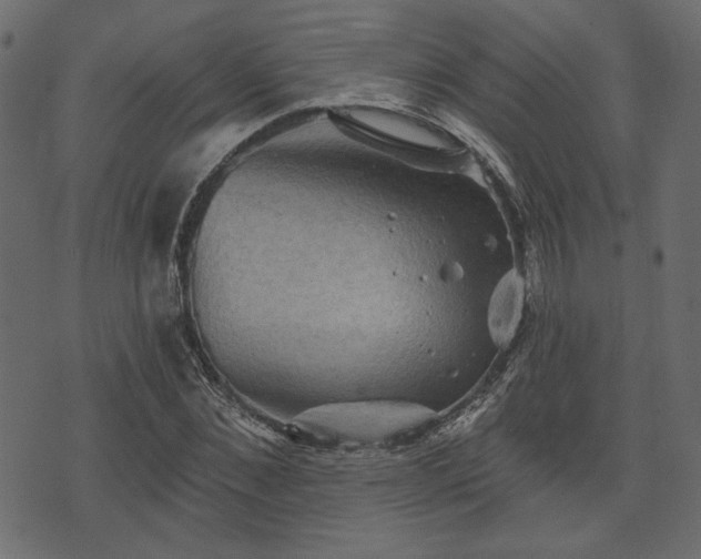 X0000070860876200606231250