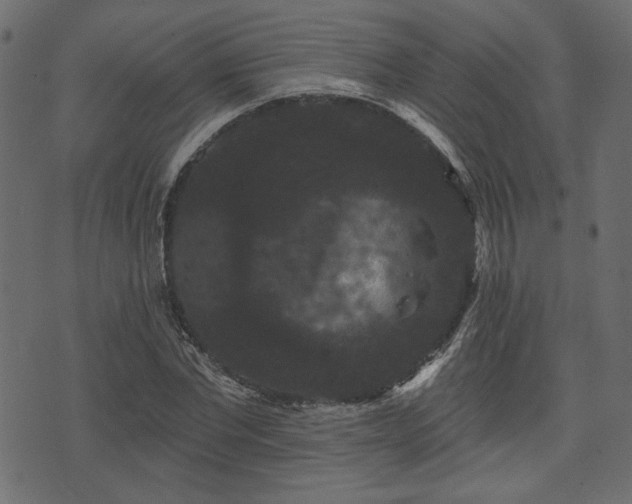 X0000070860877200606231250