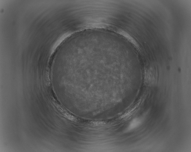 X0000070860878200606231250