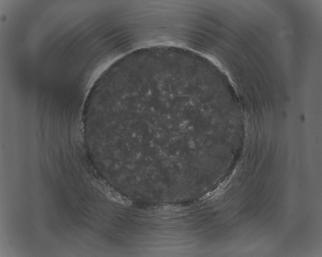 X0000070860879200606231250