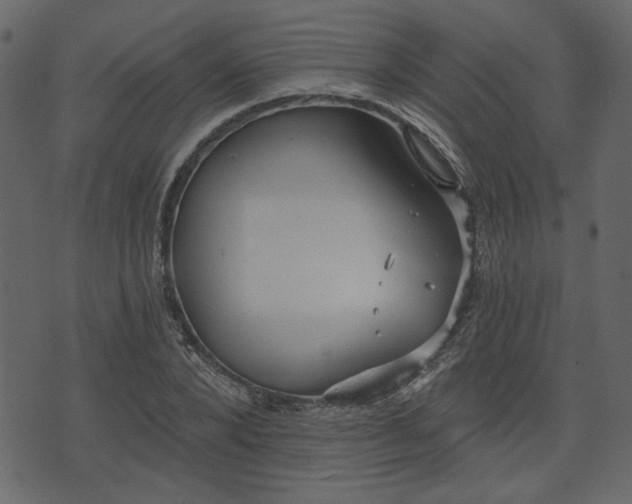 X0000070860880200606231250