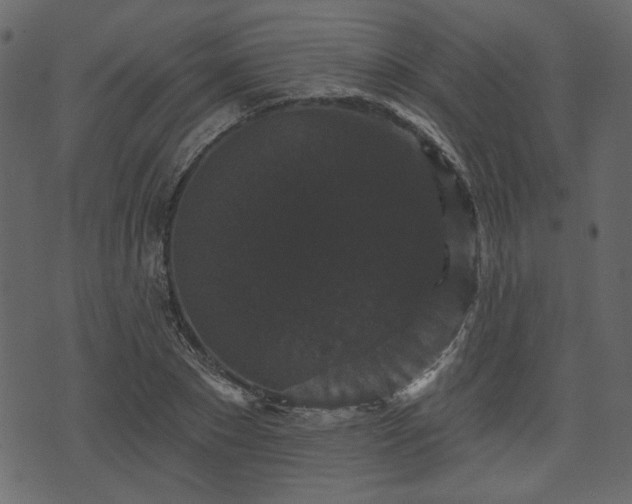 X0000070860881200606231250