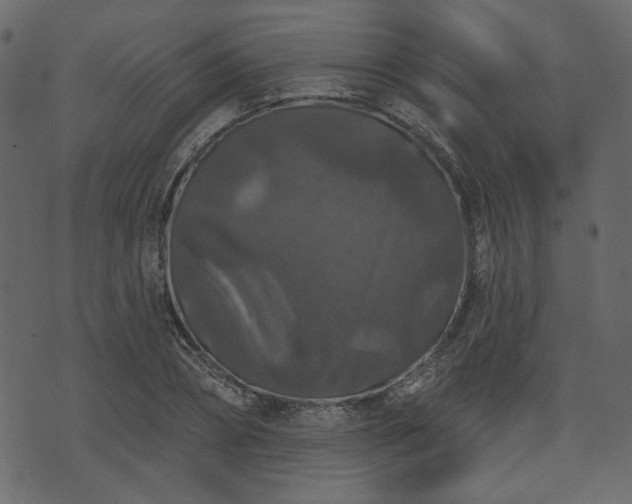 X0000070860882200606231250