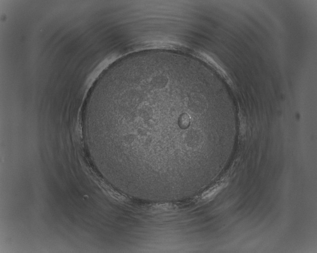 X0000070860883200606231250