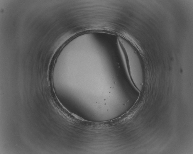 X0000070860884200606231250