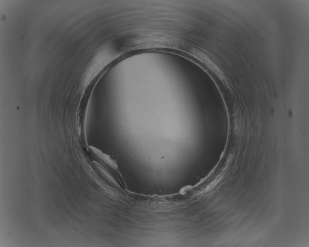 X0000070860885200606231250