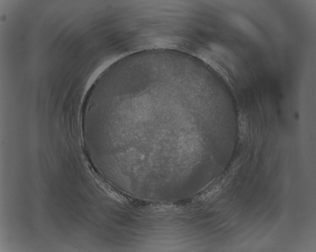 X0000070860886200606231250