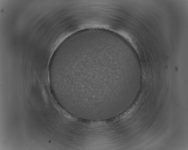 X0000070860887200606231250