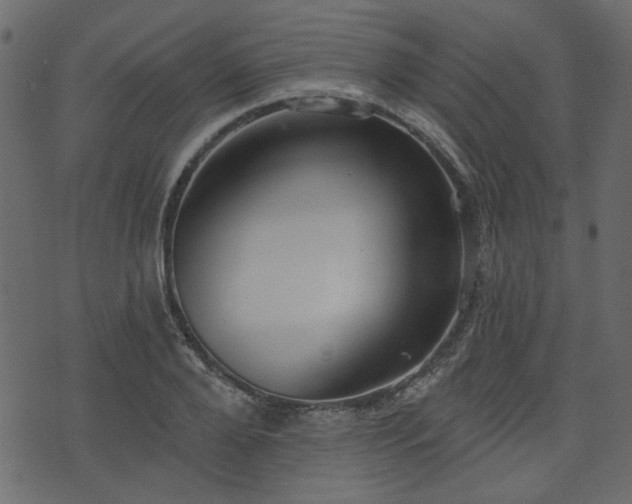 X0000070860888200606231250