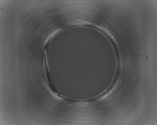 X0000070860889200606231250