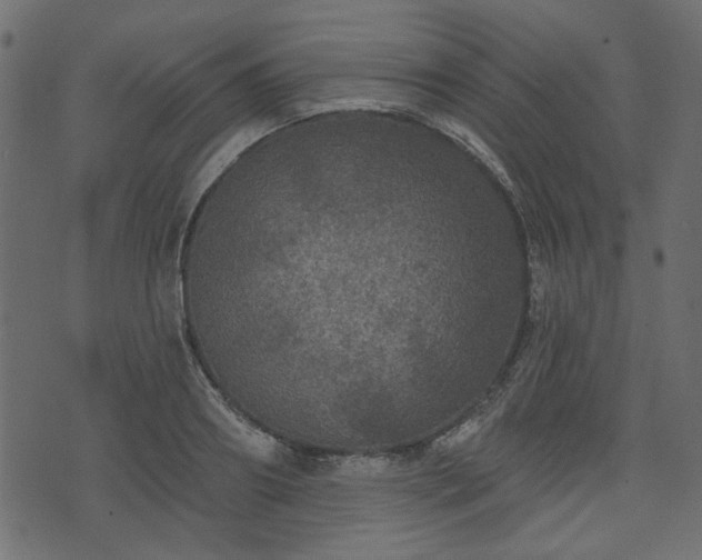 X0000070860890200606231250