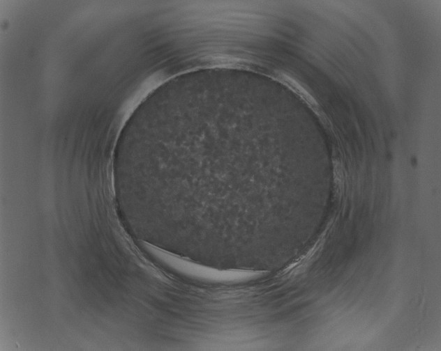 X0000070860891200606231250