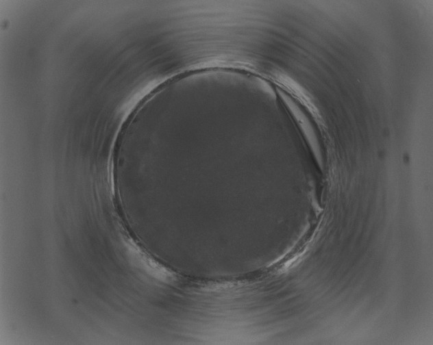 X0000070860892200606231250