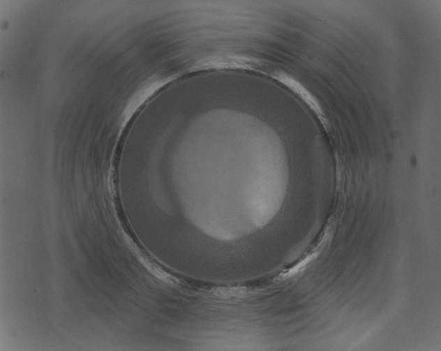 X0000070860893200606231250