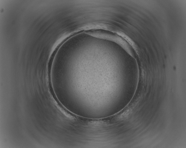 X0000070860894200606231250