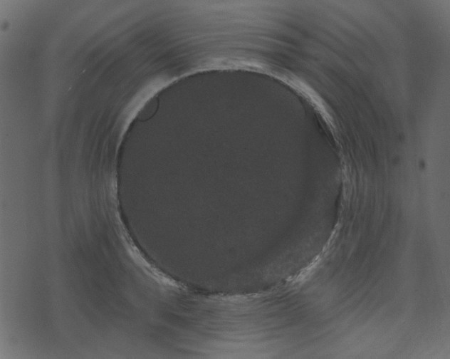 X0000070860896200606231250