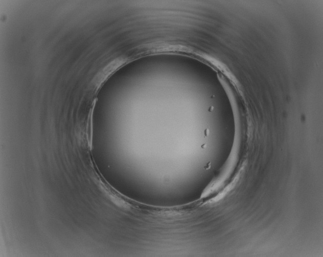 X0000070860897200606231250