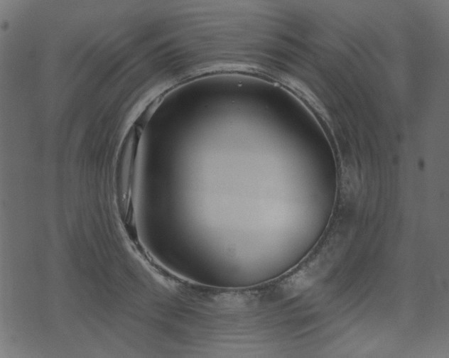 X0000070860898200606231250